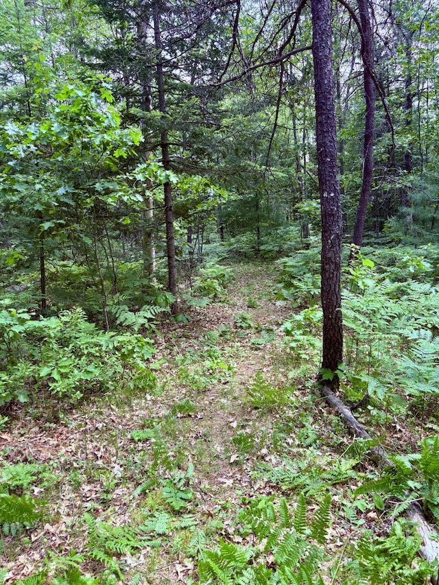 21381 Suitt Rd, Hillman, MI 49746
