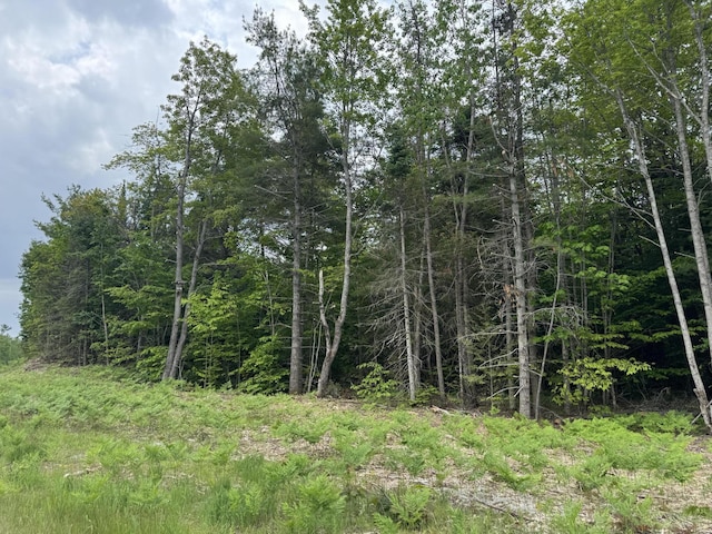 52ACRES US2 Hwy, Moran, MI 49760
