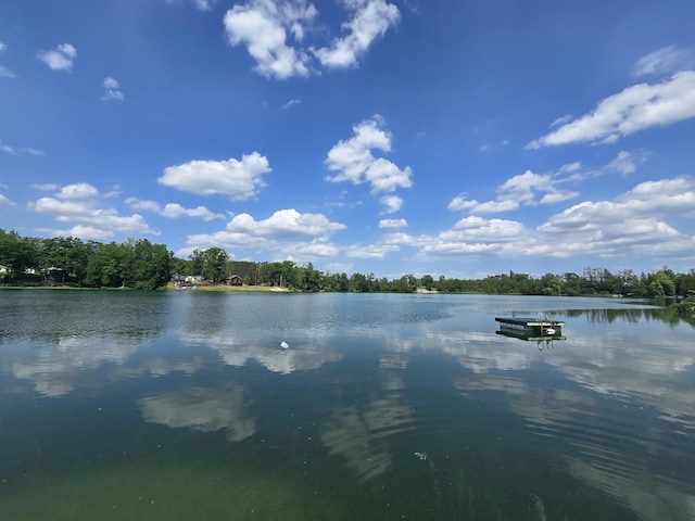 359 Reynard Dr, Mio, MI 48647
