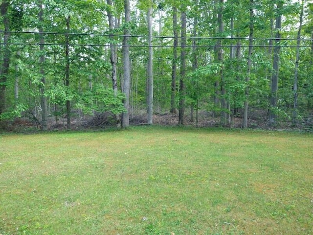 1427 E Lacomb Rd, Alpena, MI 49707 - view of green lawn with a view of trees