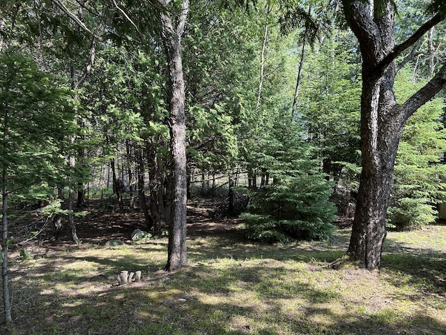 7763 Lagoon Dr, Alanson, MI 49706 - photo 27