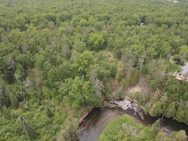 Wilson Rd, Indian River, MI 49749