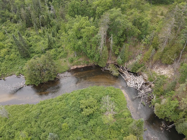 Wilson Rd, Indian River, MI 49749