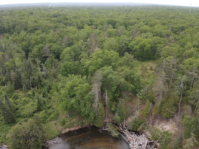 Wilson Rd, Indian River, MI 49749