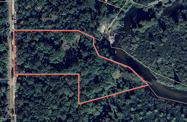 Wilson Rd, Indian River, MI 49749