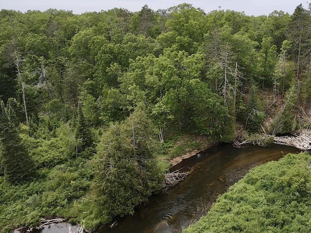 Wilson Rd, Indian River, MI 49749