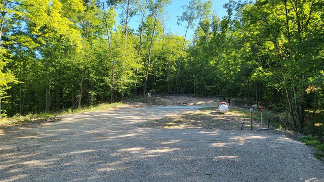 3037 Deer Trl, Gaylord, MI 49735 - photo 10