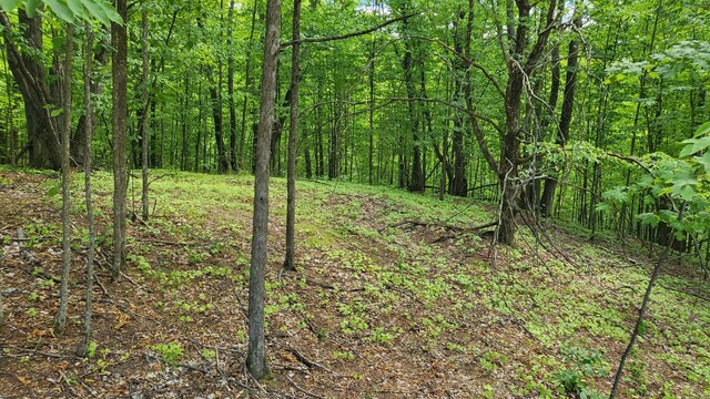 3037 Deer Trl, Gaylord, MI 49735 - photo 16