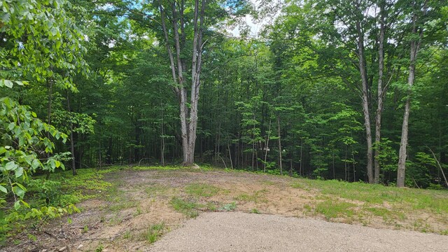 3037 Deer Trl, Gaylord, MI 49735 - photo 13