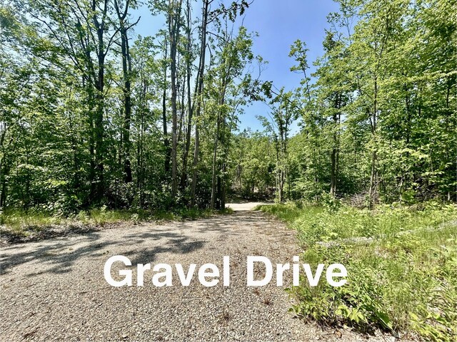 3037 Deer Trl, Gaylord, MI 49735 - photo 11
