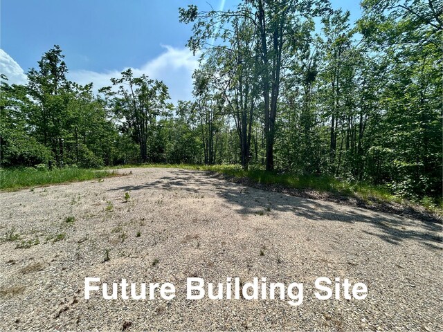 3037 Deer Trl, Gaylord, MI 49735 - photo 12