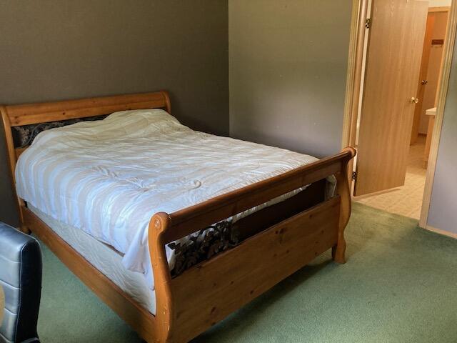 2966 Mitchell Dr, Cheboygan, MI 49721 - bedroom with carpet floors