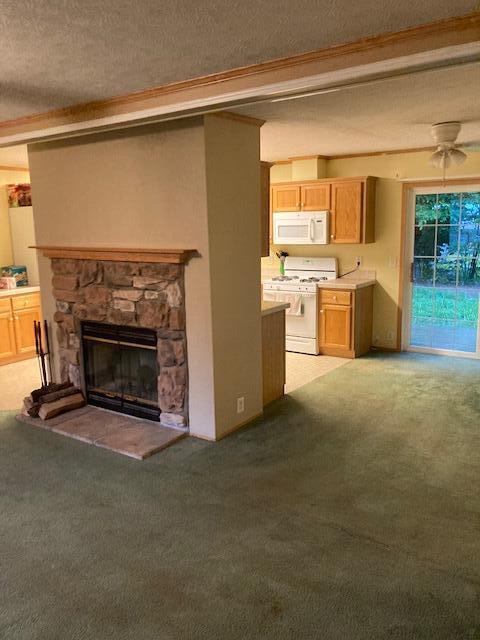 2966 Mitchell Dr, Cheboygan, MI 49721 - photo 10