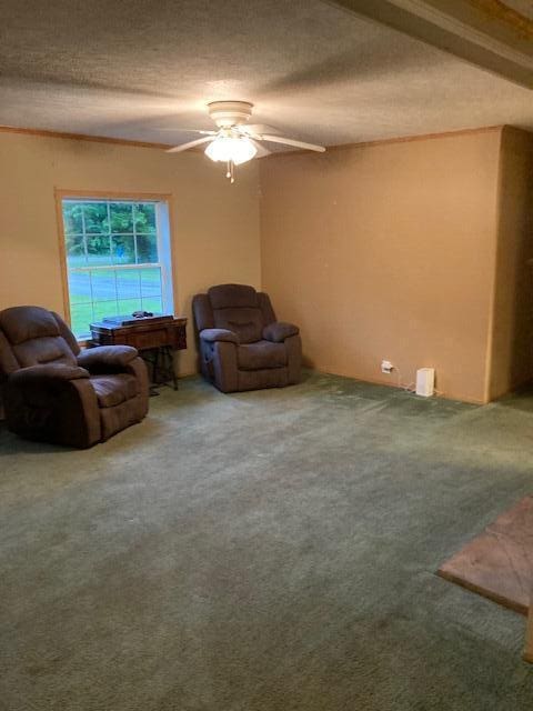 2966 Mitchell Dr, Cheboygan, MI 49721 - photo 11