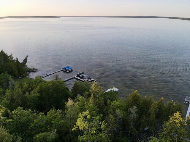 3206 Hidden Ridge Rd, Alanson, MI 49706