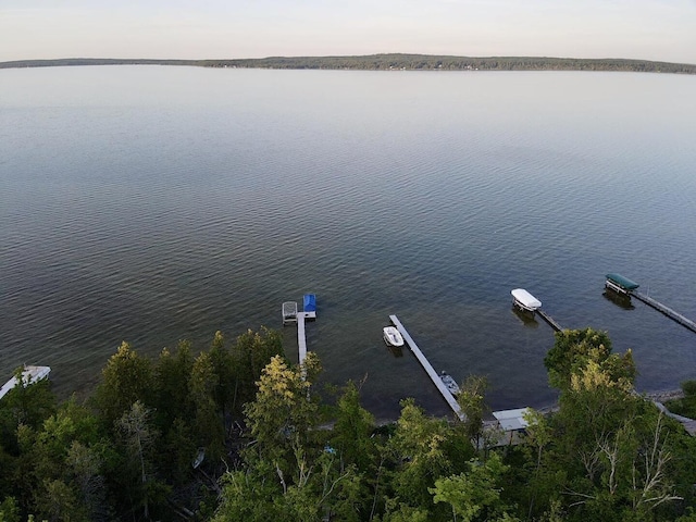 3206 Hidden Ridge Rd, Alanson, MI 49706