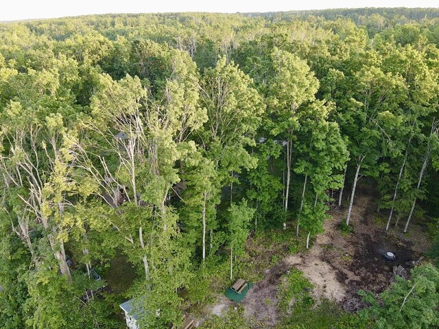 3206 Hidden Ridge Rd, Alanson, MI 49706
