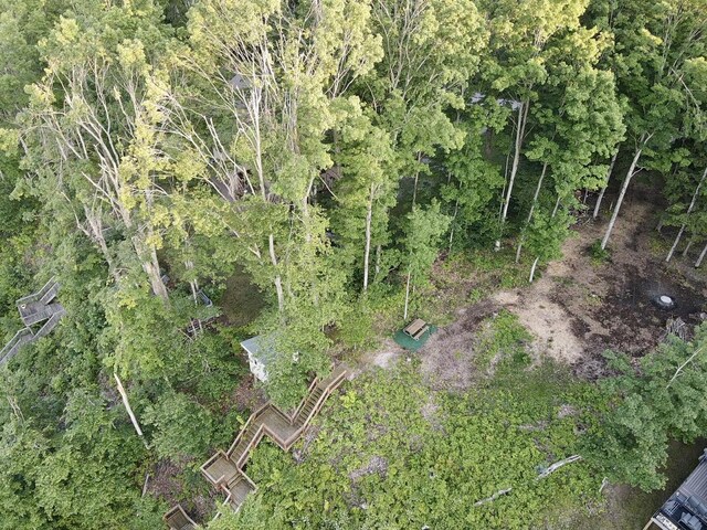 3206 Hidden Ridge Rd, Alanson, MI 49706