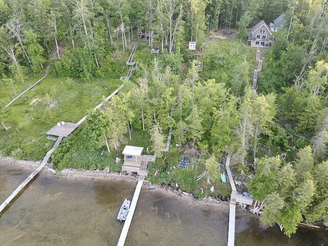 3206 Hidden Ridge Rd, Alanson, MI 49706