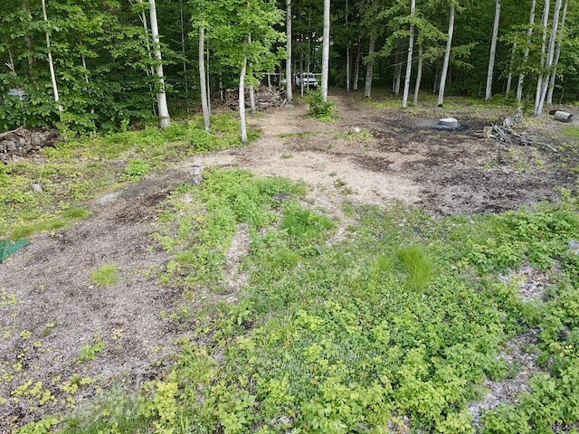 3206 Hidden Ridge Rd, Alanson, MI 49706
