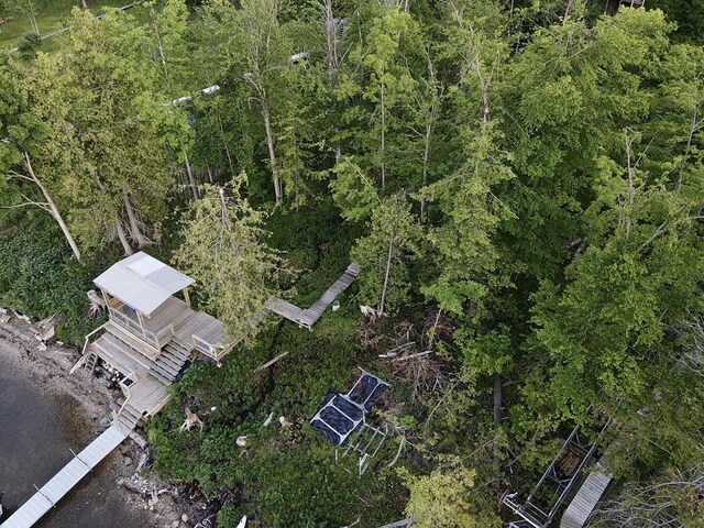 3206 Hidden Ridge Rd, Alanson, MI 49706
