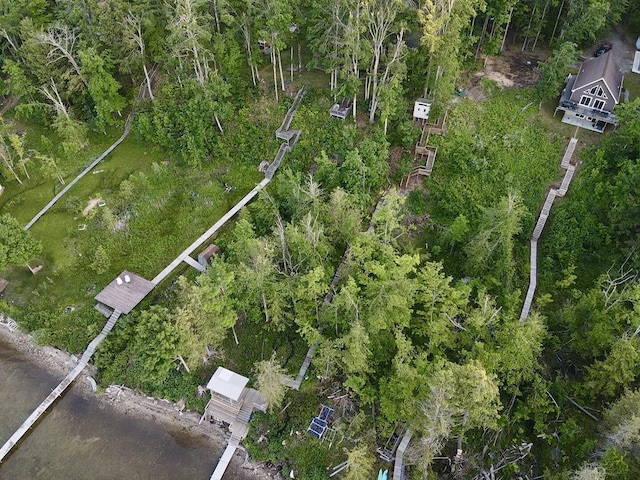 3206 Hidden Ridge Rd, Alanson, MI 49706