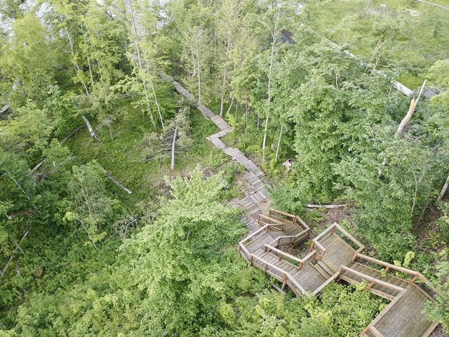 3206 Hidden Ridge Rd, Alanson, MI 49706