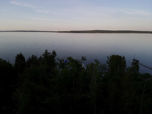 3206 Hidden Ridge Rd, Alanson, MI 49706