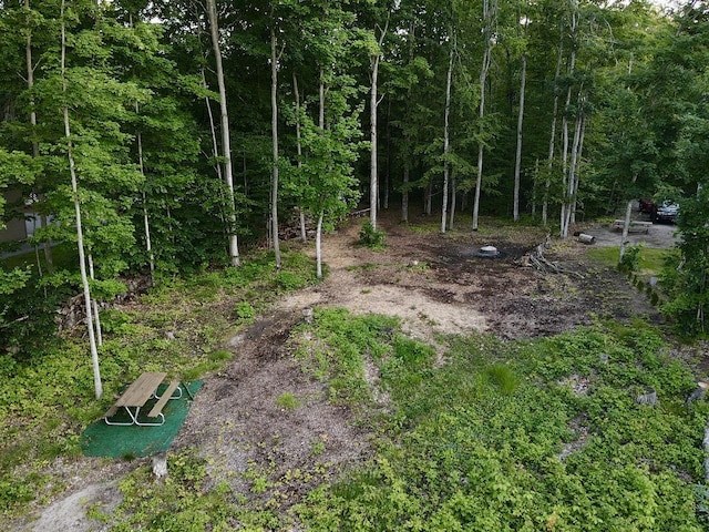 3206 Hidden Ridge Rd, Alanson, MI 49706