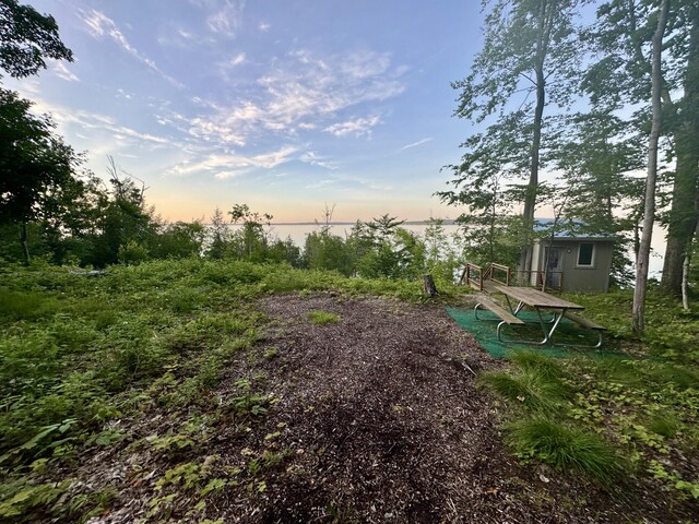 3206 Hidden Ridge Rd, Alanson, MI 49706
