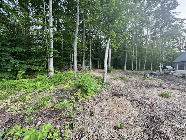 3206 Hidden Ridge Rd, Alanson, MI 49706