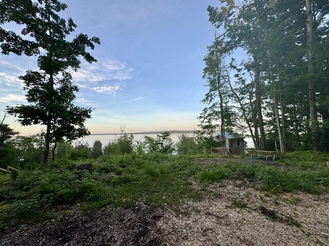 3206 Hidden Ridge Rd, Alanson, MI 49706