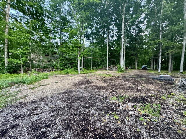 3206 Hidden Ridge Rd, Alanson, MI 49706