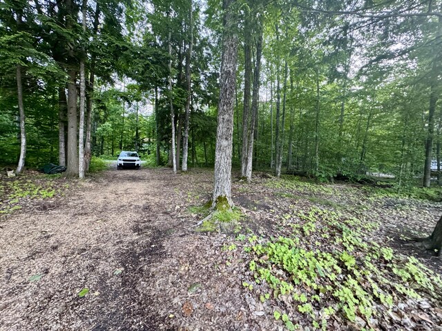 3206 Hidden Ridge Rd, Alanson, MI 49706