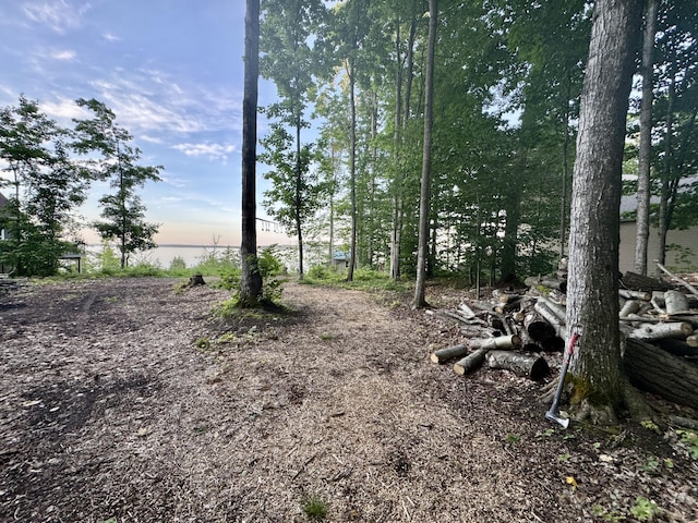 3206 Hidden Ridge Rd, Alanson, MI 49706
