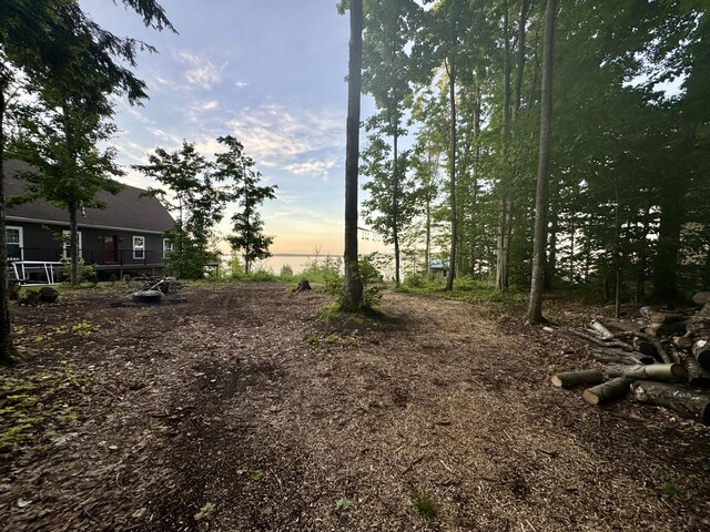 3206 Hidden Ridge Rd, Alanson, MI 49706
