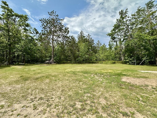 7984 US-23, Cheboygan, MI 49721 - view of green lawn featuring a view of trees