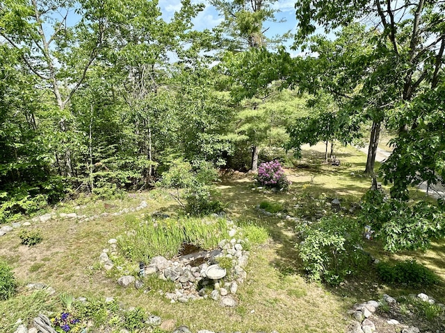 7984 US-23, Cheboygan, MI 49721 - view of nature