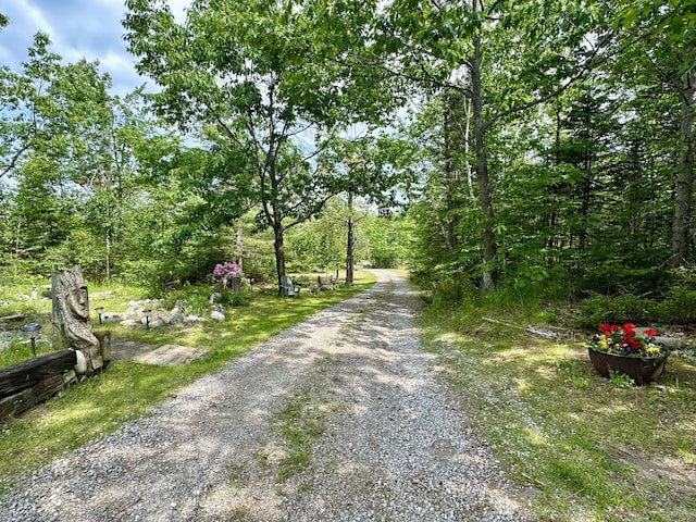 7984 US-23, Cheboygan, MI 49721 - view of dirt / gravel road featuring a view of trees