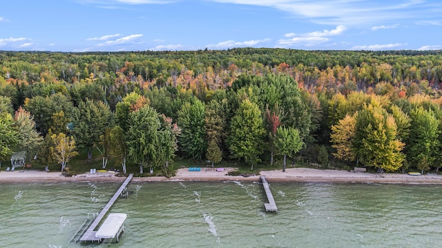 451 Gower Ln, Cheboygan, MI 49721 - bird's eye view of a heavily wooded area