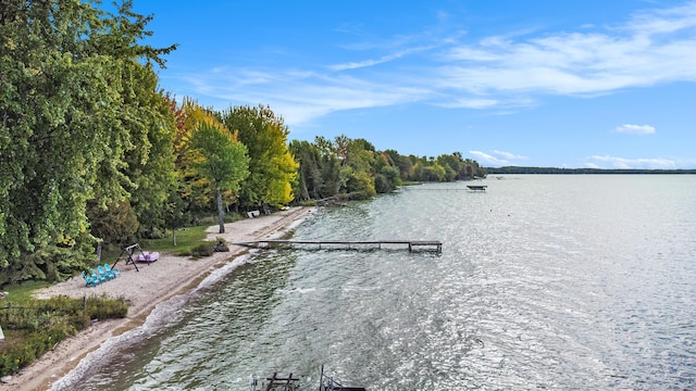 451 Gower Ln, Cheboygan, MI 49721 - water view with a dock