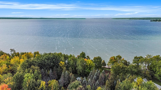 451 Gower Ln, Cheboygan, MI 49721 - water view