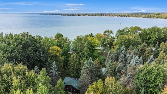 451 Gower Ln, Cheboygan, MI 49721 - water view