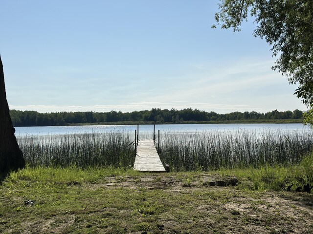 1632 Lakeview Dr, Alpena, MI 49707 - dock with a water view and a wooded view