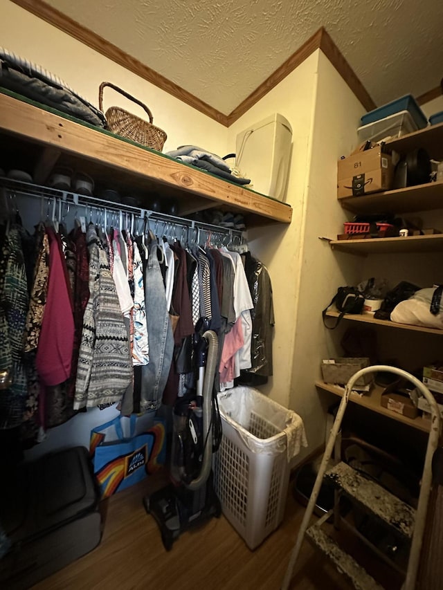 1632 Lakeview Dr, Alpena, MI 49707 - walk in closet featuring wood finished floors