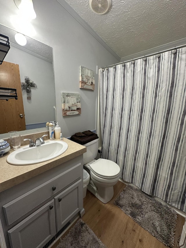 1632 Lakeview Dr, Alpena, MI 49707 - full bath featuring wood finished floors, a textured ceiling, vanity, and a shower with shower curtain