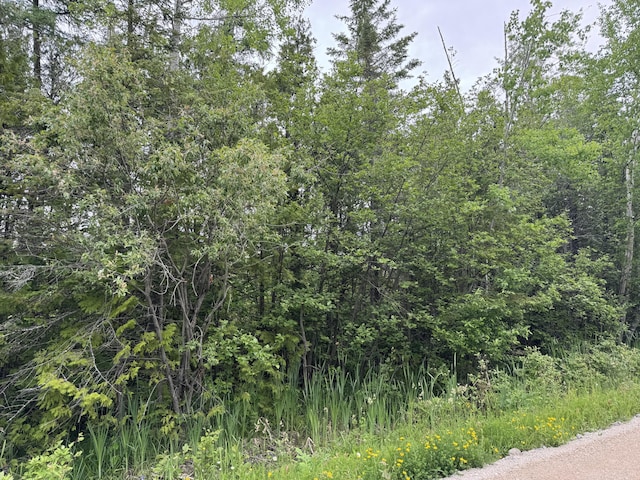 9ACRES Brevort Lake Rd, Moran, MI 49760