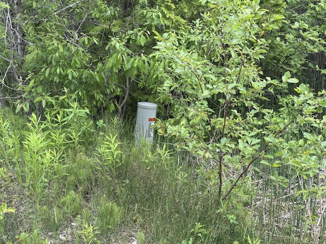 9ACRES Brevort Lake Rd, Moran, MI 49760