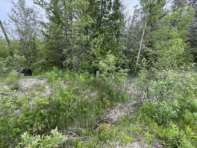 9ACRES Brevort Lake Rd, Moran, MI 49760
