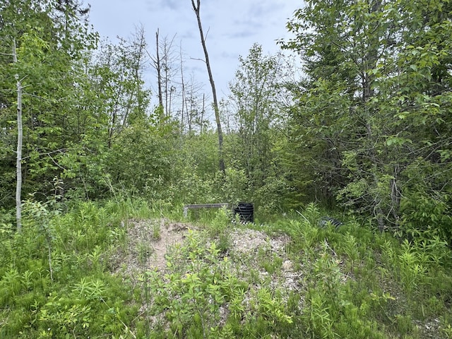 9ACRES Brevort Lake Rd, Moran, MI 49760